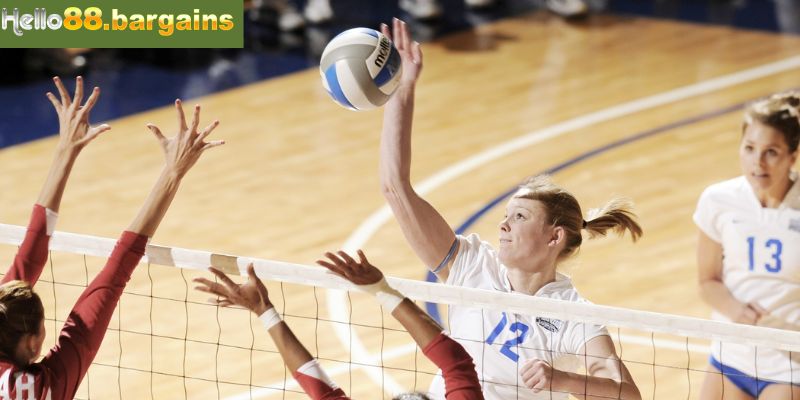 Thể thao Hello88: Chuyên mục cá cược bóng đá tỷ lệ ăn cao 2 Sơ lược về sảnh thể thao Hello88 mới nhất thị trường